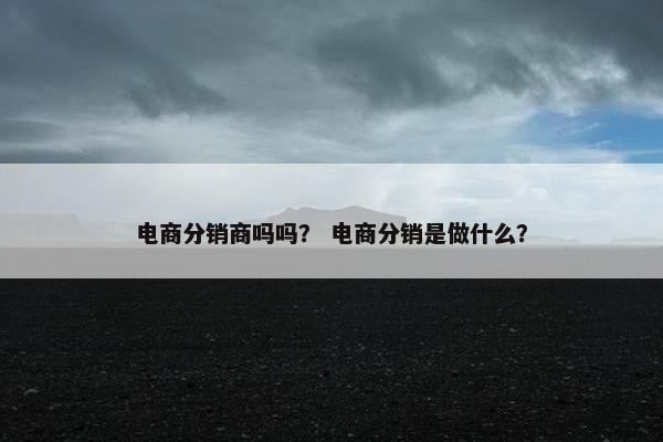 电商分销商吗吗？ 电商分销是做什么？