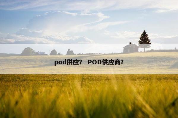 pod供应？ POD供应商？