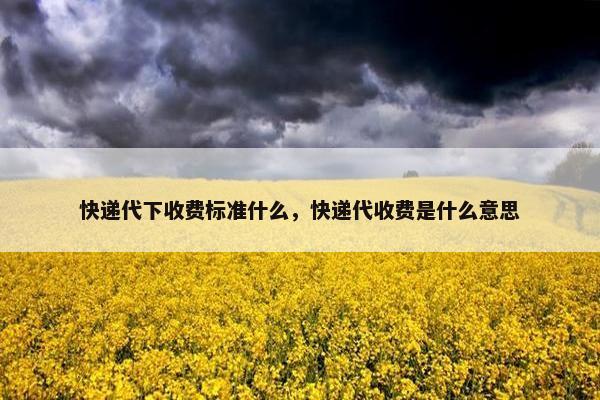 快递代下收费标准什么，快递代收费是什么意思