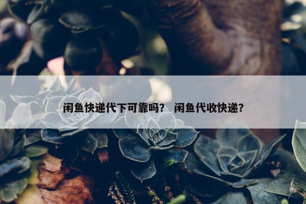 闲鱼快递代下可靠吗？ 闲鱼代收快递？