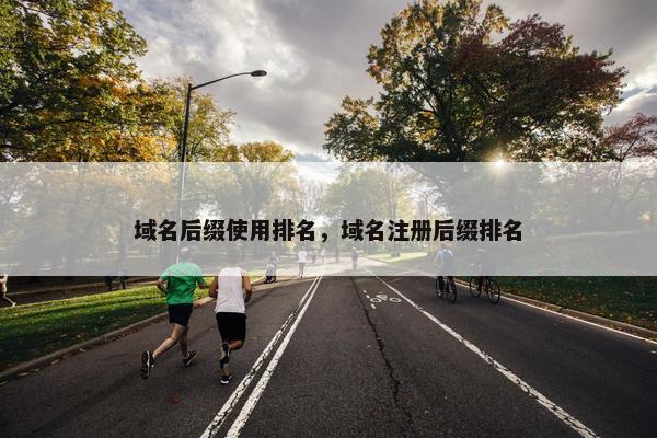 域名后缀使用排名，域名注册后缀排名