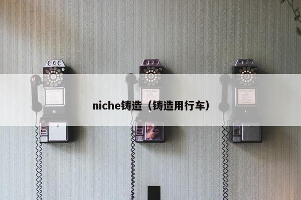 niche铸造（铸造用行车）