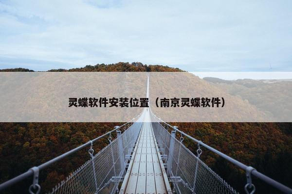 灵蝶软件安装位置（南京灵蝶软件）