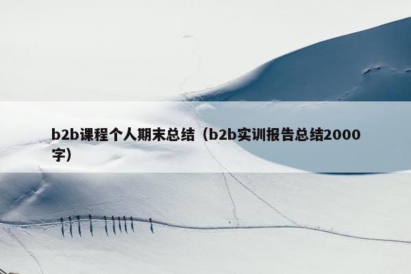 b2b课程个人期末总结（b2b实训报告总结2000字）