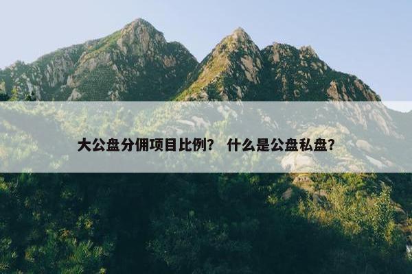 大公盘分佣项目比例？ 什么是公盘私盘？