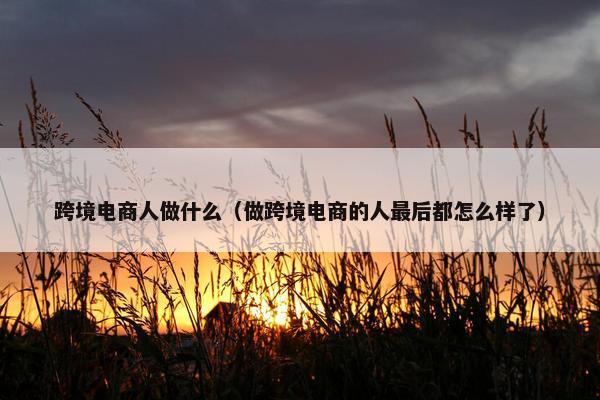 跨境电商人做什么（做跨境电商的人最后都怎么样了）