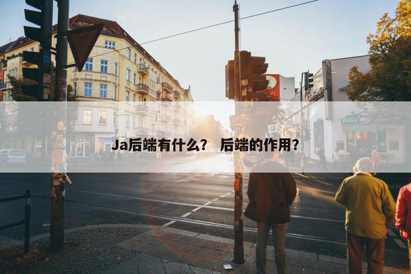 Ja后端有什么？ 后端的作用？