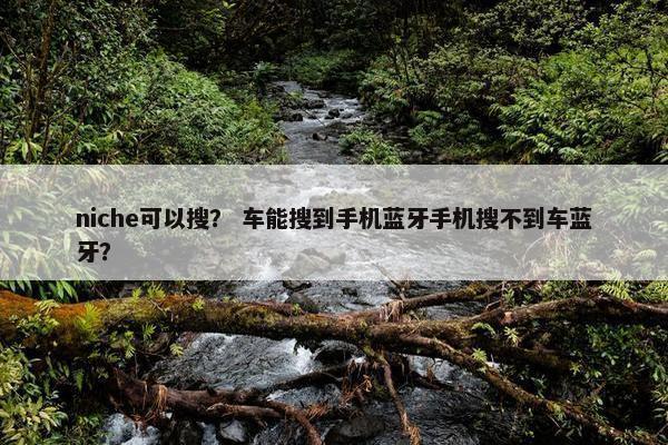 niche可以搜？ 车能搜到手机蓝牙手机搜不到车蓝牙？