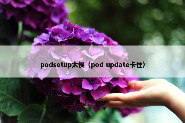 podsetup太慢（pod update卡住）