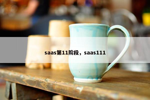 saas第11阶段，saas111