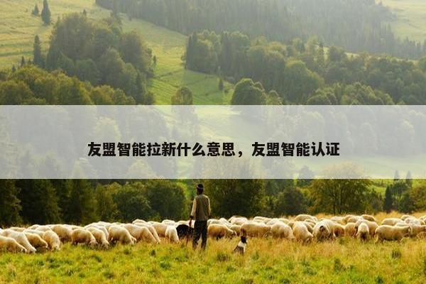友盟智能拉新什么意思，友盟智能认证