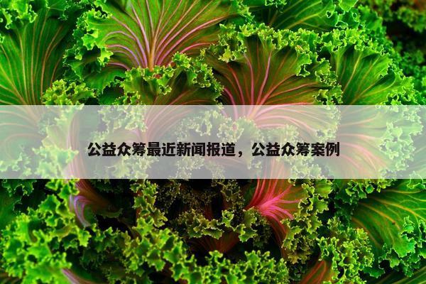 公益众筹最近新闻报道，公益众筹案例
