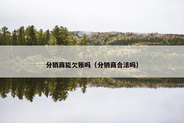 分销商能欠账吗（分销商合法吗）