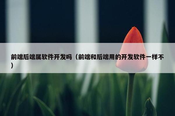 前端后端属软件开发吗（前端和后端用的开发软件一样不）