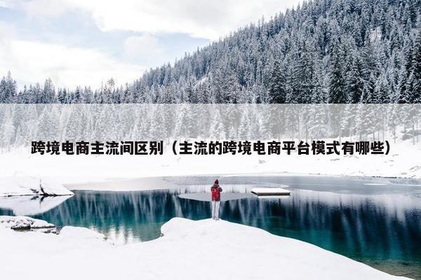 跨境电商主流间区别（主流的跨境电商平台模式有哪些）