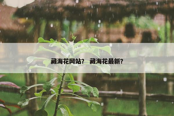 藏海花网站？ 藏海花最新？