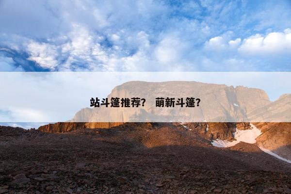 站斗篷推荐？ 萌新斗篷？