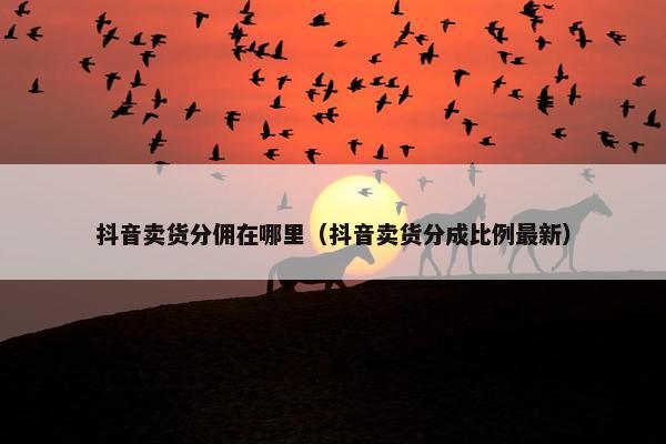 抖音卖货分佣在哪里（抖音卖货分成比例最新）