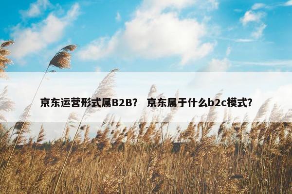 京东运营形式属B2B？ 京东属于什么b2c模式？