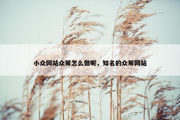 小众网站众筹怎么做呢，知名的众筹网站
