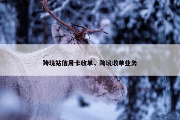 跨境站信用卡收单，跨境收单业务