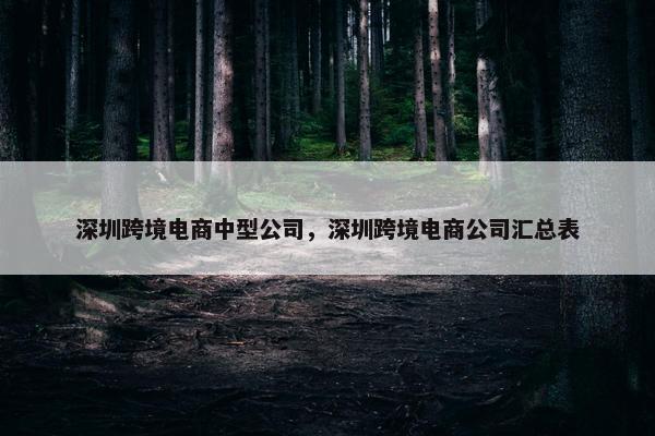 深圳跨境电商中型公司，深圳跨境电商公司汇总表