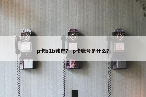 p卡b2b账户？ p卡账号是什么？