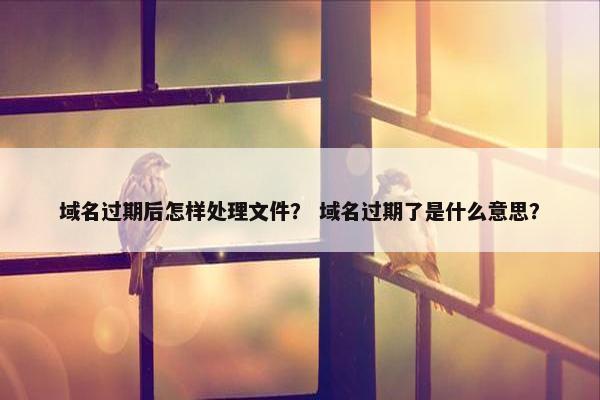 域名过期后怎样处理文件？ 域名过期了是什么意思？