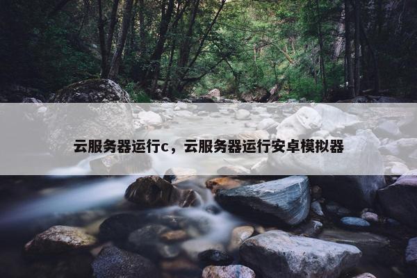 云服务器运行c，云服务器运行安卓模拟器