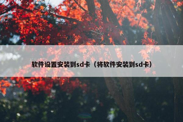 软件设置安装到sd卡（将软件安装到sd卡）