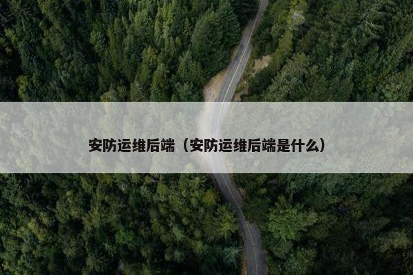 安防运维后端（安防运维后端是什么）