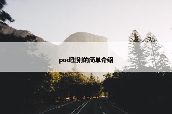 pod型别的简单介绍