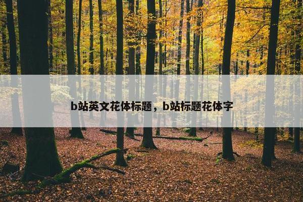 b站英文花体标题，b站标题花体字