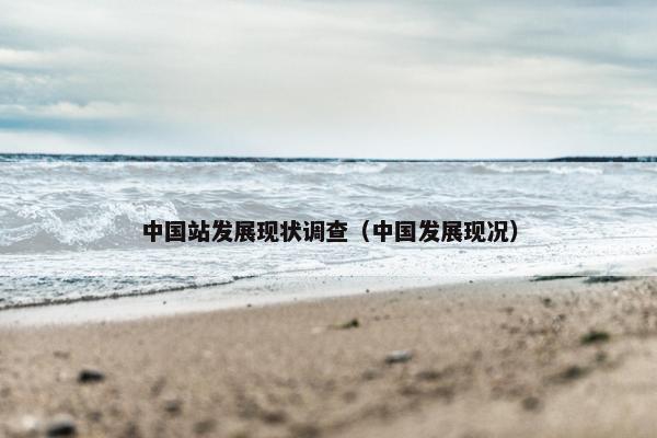 中国站发展现状调查（中国发展现况）