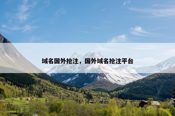 域名国外抢注，国外域名抢注平台