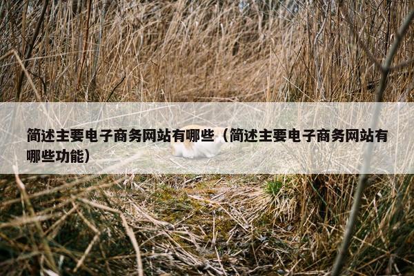 简述主要电子商务网站有哪些（简述主要电子商务网站有哪些功能）