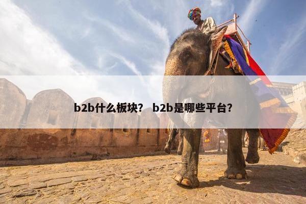 b2b什么板块？ b2b是哪些平台？