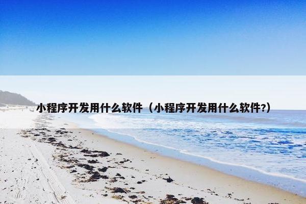 小程序开发用什么软件（小程序开发用什么软件?）