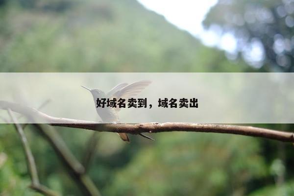 好域名卖到，域名卖出