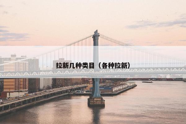 拉新几种类目（各种拉新）