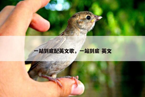 一站到底配英文歌，一站到底 英文