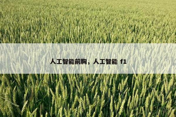 人工智能前胸，人工智能 f1