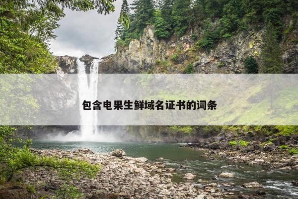 包含电果生鲜域名证书的词条