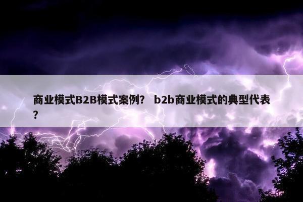 商业模式B2B模式案例？ b2b商业模式的典型代表？