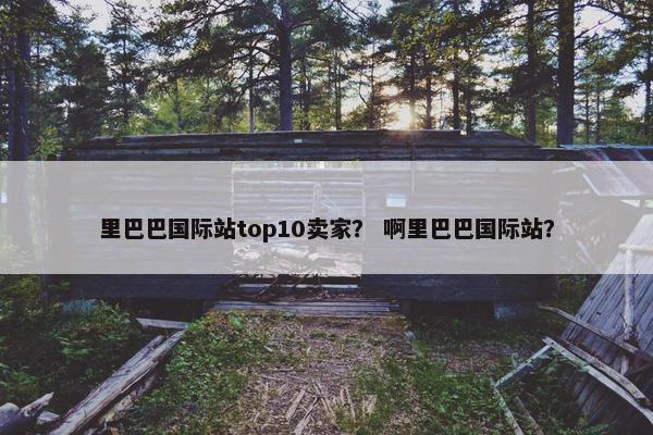 里巴巴国际站top10卖家？ 啊里巴巴国际站？