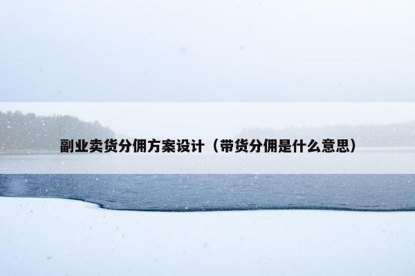 副业卖货分佣方案设计（带货分佣是什么意思）
