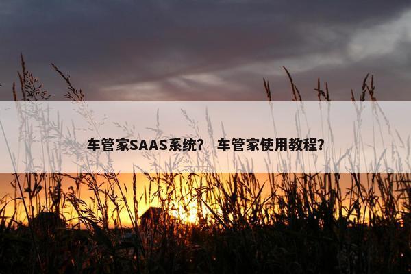 车管家SAAS系统？ 车管家使用教程？
