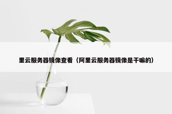 里云服务器镜像查看（阿里云服务器镜像是干嘛的）