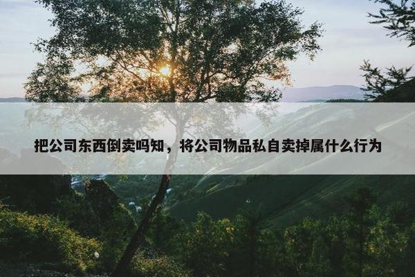 把公司东西倒卖吗知，将公司物品私自卖掉属什么行为