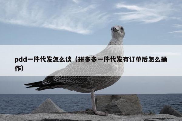 pdd一件代发怎么谈（拼多多一件代发有订单后怎么操作）